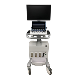 USED GE Vivid S60N 2021